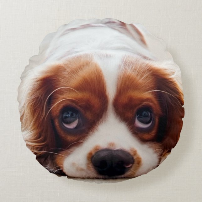 Coussins Ronds Cavalier King Charles Spaniel (Devant)