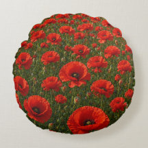 Champ de coquelicots