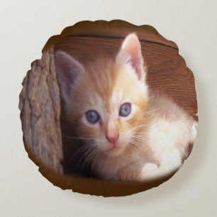 Coussins Ronds Chats