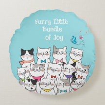 Chats mignons , petite boule de joie duveteuse