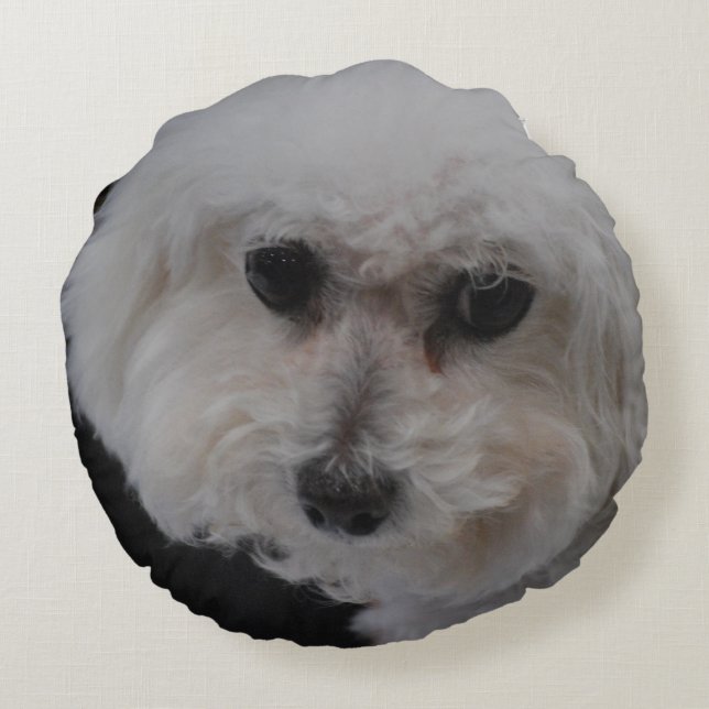 Coussins Ronds Chien de Bichon Frise (Dos)