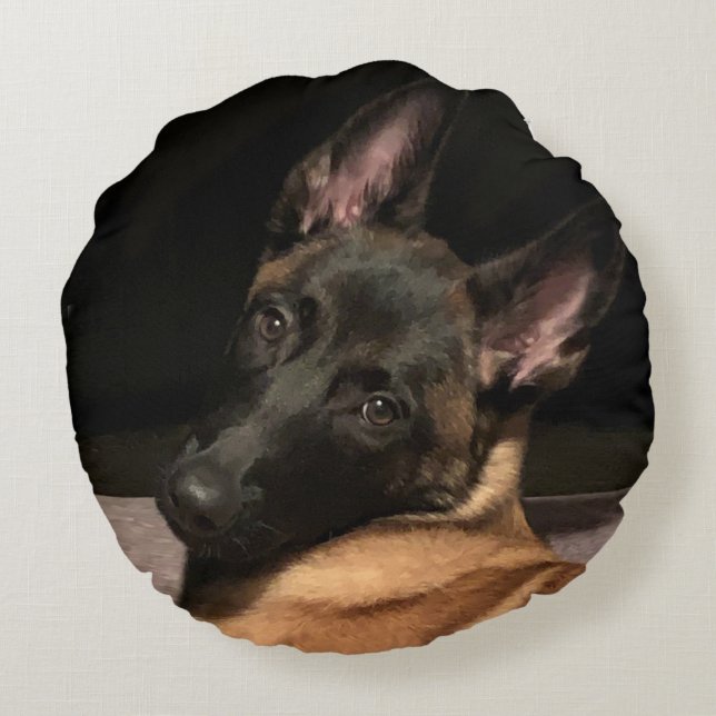 Coussins Ronds Chien malinois (Dos)