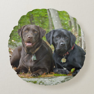 Coussins Ronds Chiens Chiens Marionnettes Black Lab Chocolat Labr