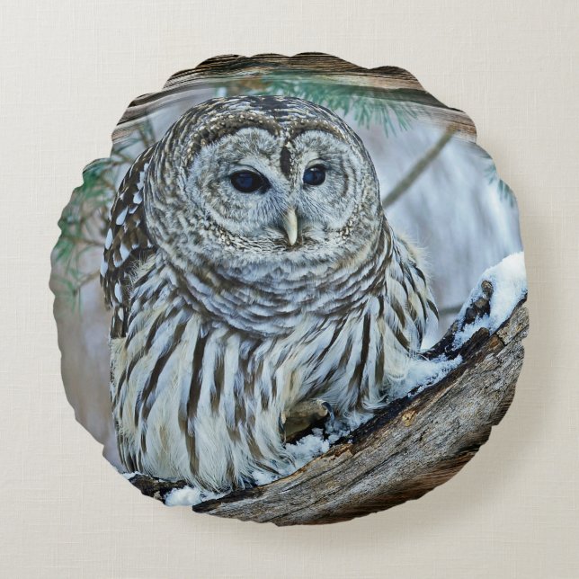 Coussins Ronds Chouette (Devant)