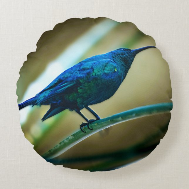 Coussins Ronds Closeuse perché de Sunbird de Malachite (Devant)