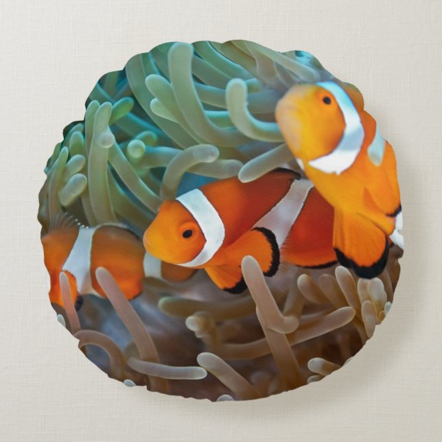 Coussins Ronds Clownfish (Devant)