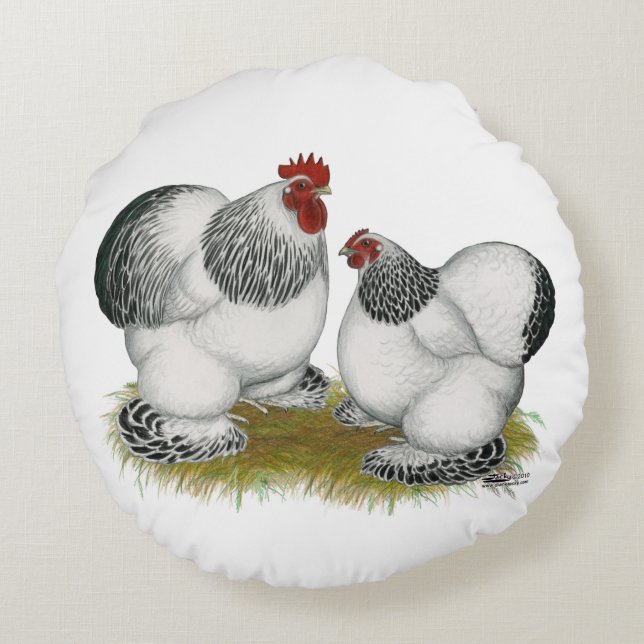 Coussins Ronds Cochin Columbian Bantams (Dos)