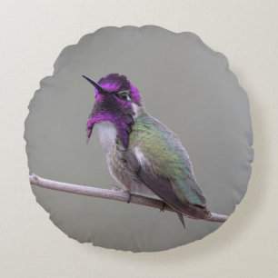 Coussins Ronds Colibri de Costa