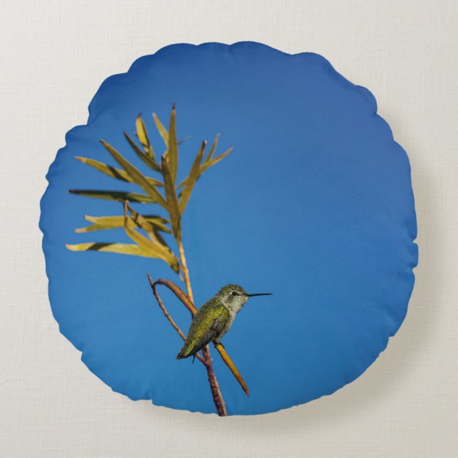 Coussins Ronds Colibri femelle  (Devant)