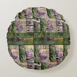 Coussins Ronds Collage de photos d'hippopotames,