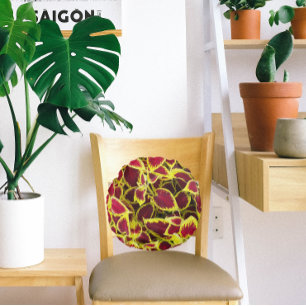 Coussins Ronds Coloré Coleus Plante Feuille Floral