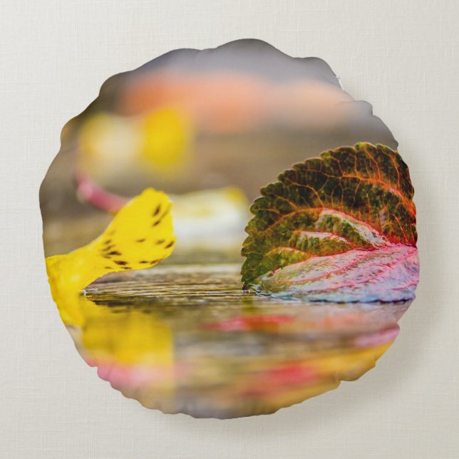 Coussins Ronds Couleurs d'automne (Dos)