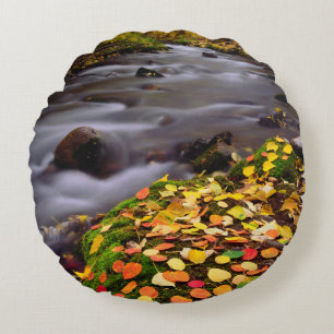 Coussins Ronds Couleurs d'automne le long du ruisseau McGee