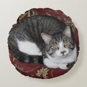 Coussins Ronds Courbez-vous avec un chat