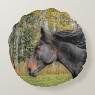Coussins Ronds Courir Percheron noir HDR Horse Equine Photo