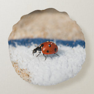 Coussins Ronds Crawling coccinelle