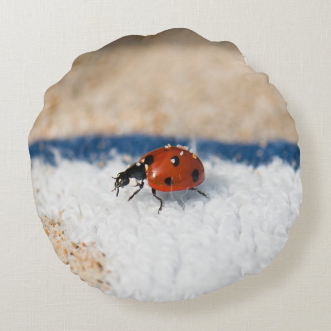Coussins Ronds Crawling coccinelle (Dos)