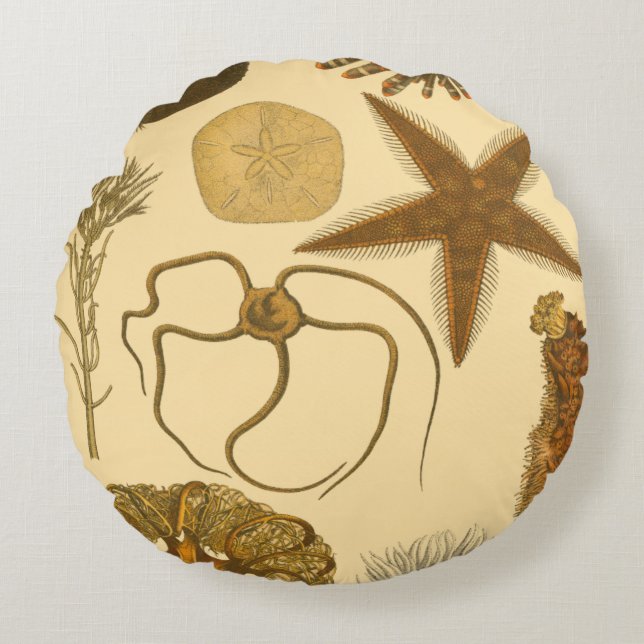 Coussins Ronds Créatures sous-marines (Devant)