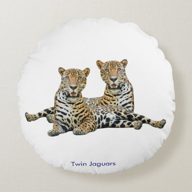 Coussins Ronds Cushion (Devant)