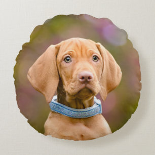 Coussins Ronds Cute chiot hué Hongrois Vizsla Chien Chien Chien 