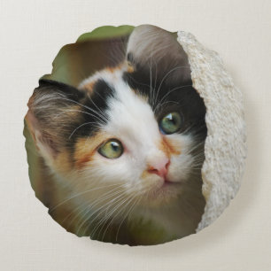 Coussins Ronds Cute Curieux Kitten Yeux de prier, lisse