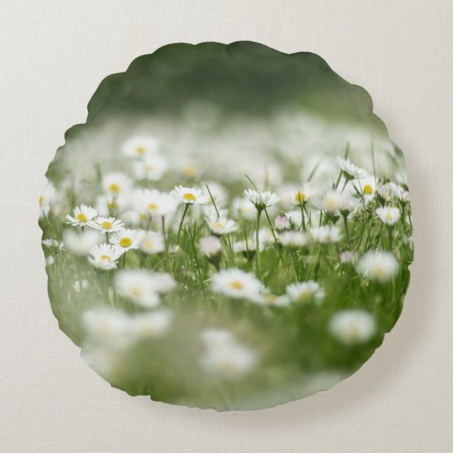 Coussins Ronds Daisy Meadow (Devant)