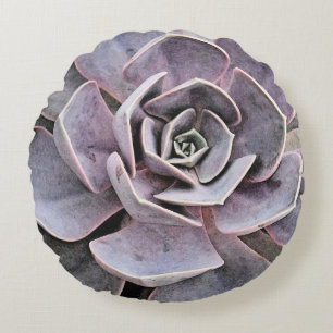 Coussins Ronds Echeveria "rose" Succulent