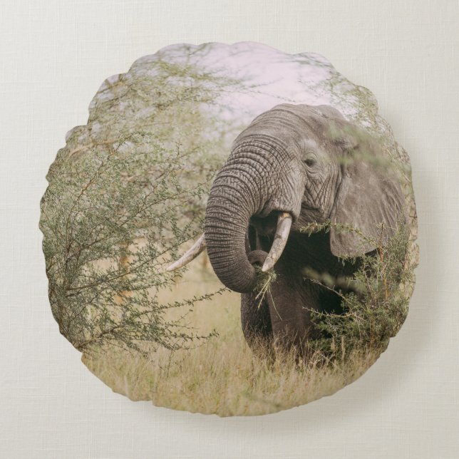 COUSSINS RONDS ÉLÉPHANT MANGEANT D'UN ARBRE (Devant)