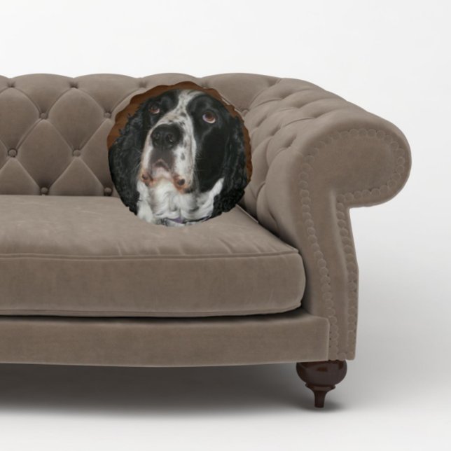 Coussins Ronds English Springer Spaniel Pet Photo (In Situ Sofa)