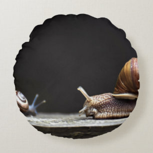 Coussins Ronds Escargots - Mollusk d'escargots
