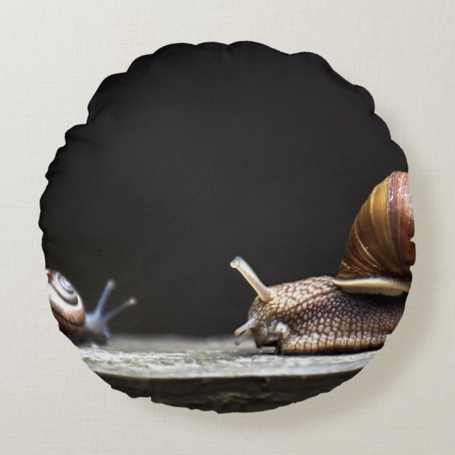 Coussins Ronds Escargots - Mollusk d'escargots (Devant)