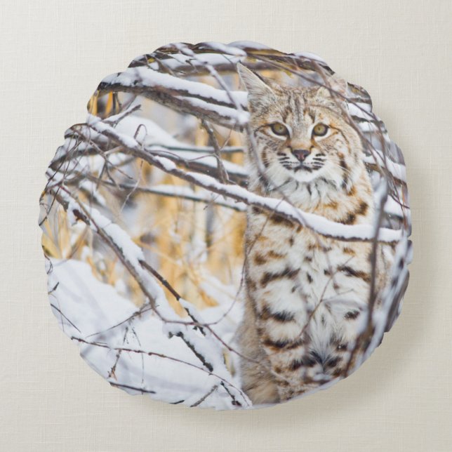 Coussins Ronds États-Unis, Wyoming, Bobcat (Devant)