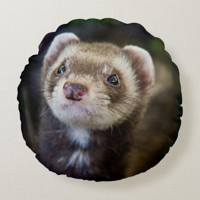 Coussins Ronds Ferret (Devant)