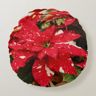 Coussins Ronds Festive Rouge Blanc Floral Poinsettia Fleurs