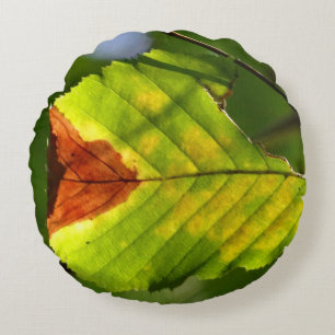 Coussins Ronds Feuille de chute verte