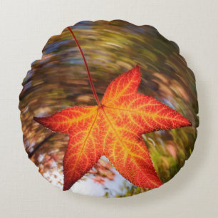 Coussins Ronds Feuille tombante d'un arbre en automne