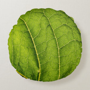 Coussins Ronds Feuille verte