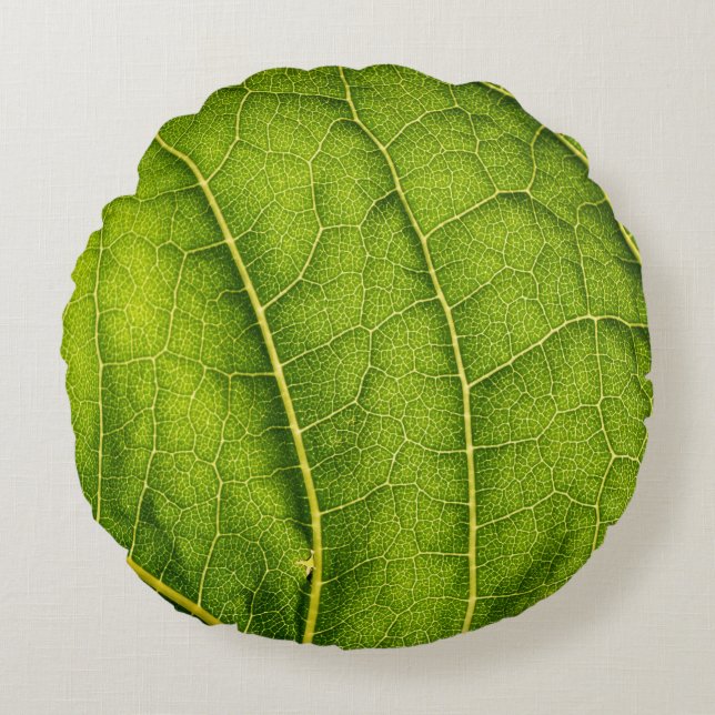 Coussins Ronds Feuille verte (Devant)