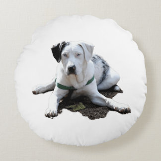 Coussins Ronds Fixation de cabot de Catahoula
