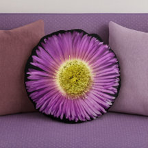 Fleur de marguerite violette Closee-up Boho joyeux