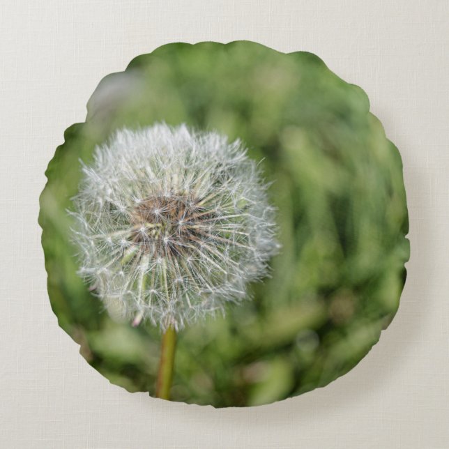 Coussins Ronds Fleur de pissenlit blanc sur herbe verte (Devant)