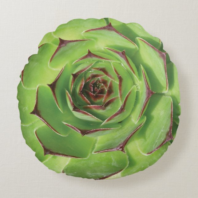Coussins Ronds Fleur de printemps des cactus succulents verts (Devant)