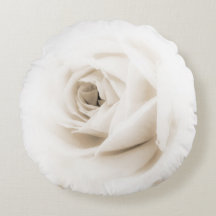 Fleur de rose blanche