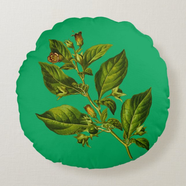 Coussins Ronds Fleur d'illustration de botanique vintage (Devant)