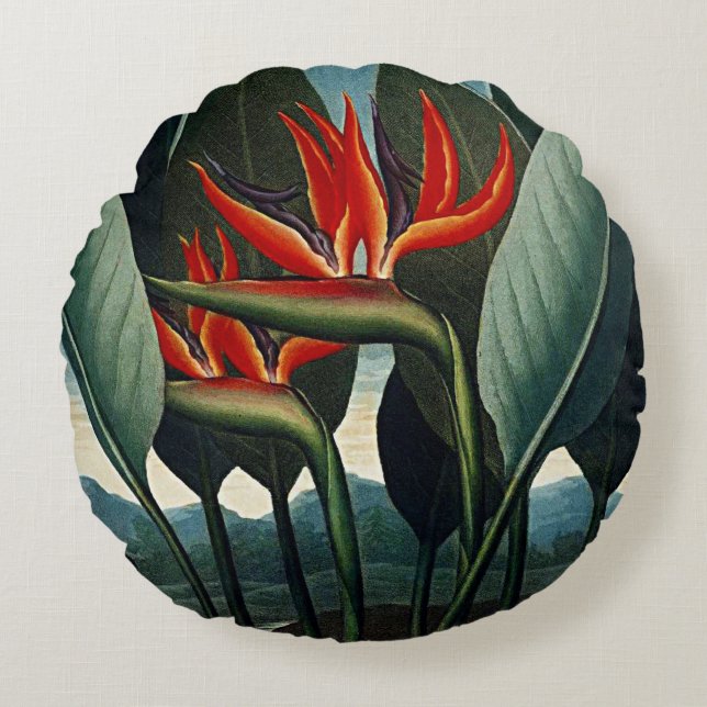 Coussins Ronds Fleurit Botanique Oiseau De Poussins Paradisiaques (Devant)