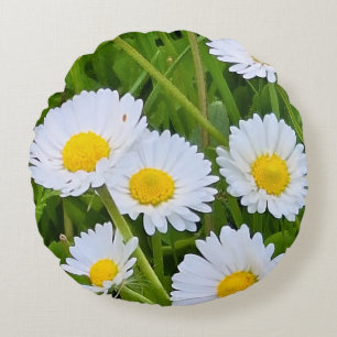 Coussins Ronds Fleurs de jardin sauvage Roumanie – Photographie d