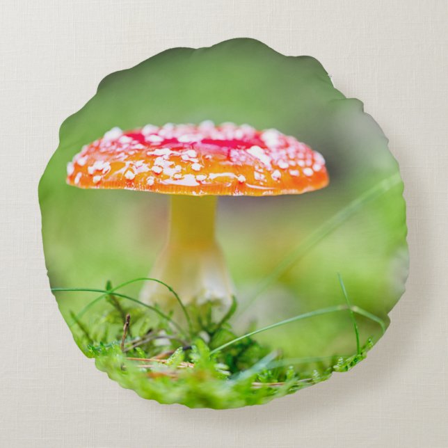 Coussins Ronds Fliegenpilz (Dos)