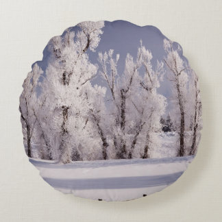 Coussins Ronds Frost a couvert les arbres et la barrière, le