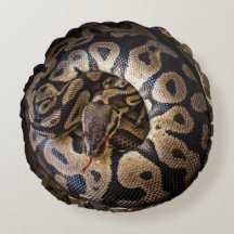 Funny Prank Python Snake