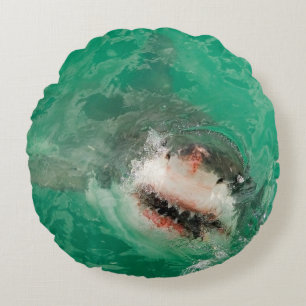 Coussins Ronds Grand blanc Shark1